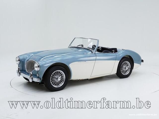 Overige Gebruikt 1954 Austin Healey 100 Cabriolet | € 78.000 - Afbeelding 1/4