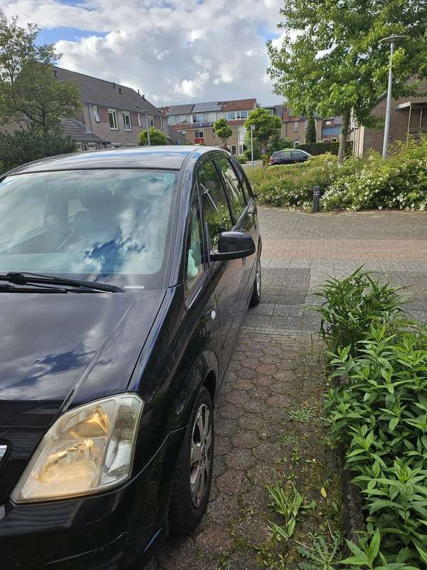 Afbeelding 3
