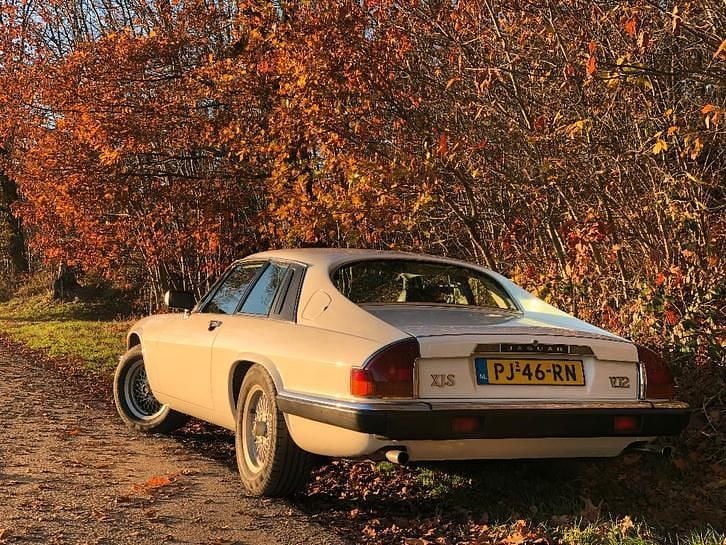 Occasion Jaguar XJS 295 PK (216 kW) 1986