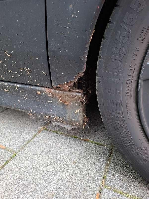 Afbeelding 3/4