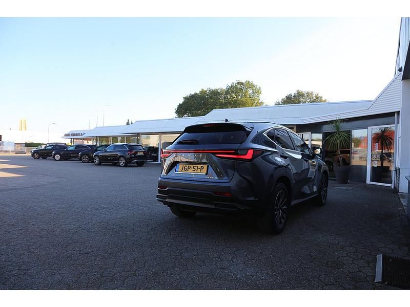 Occasion Lexus NX350h 242 PK (177 kW) 2022 Grijs SUV