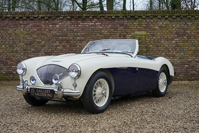 Wit Gebruikt 1955 Austin Healey 100 Cabriolet | € 85.950 - Afbeelding 1/4
