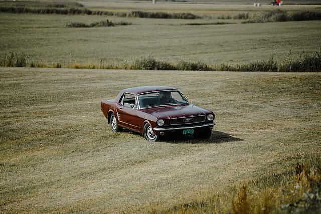 Occasion Ford Mustang 200 PK (147 kW) 1966 Bruin Coupé