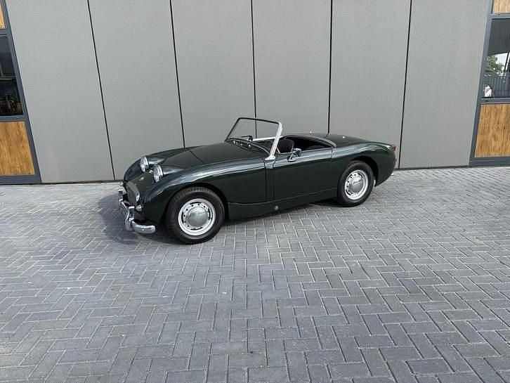 Occasion Austin Healey Sprite 1960 Groen
