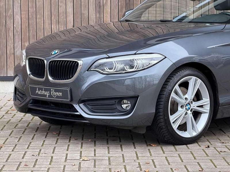 Occasion BMW 220 Executive 184 PK (135 kW) 2018 Grijs (metallic) Cabriolet