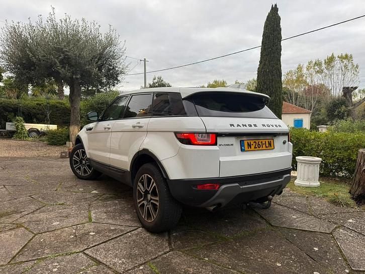 Occasion Land Rover Range Rover 241 PK (177 kW) 2019 SUV