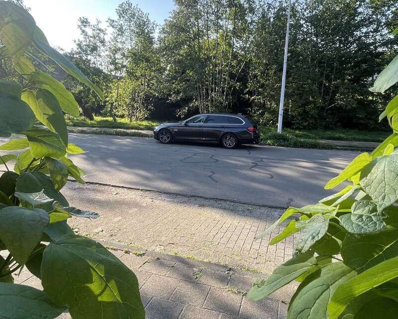Afbeelding 3/4