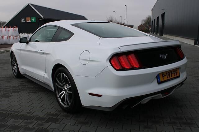 Occasion Ford Mustang Fastback 317 PK (233 kW) 2017 Wit Coupé