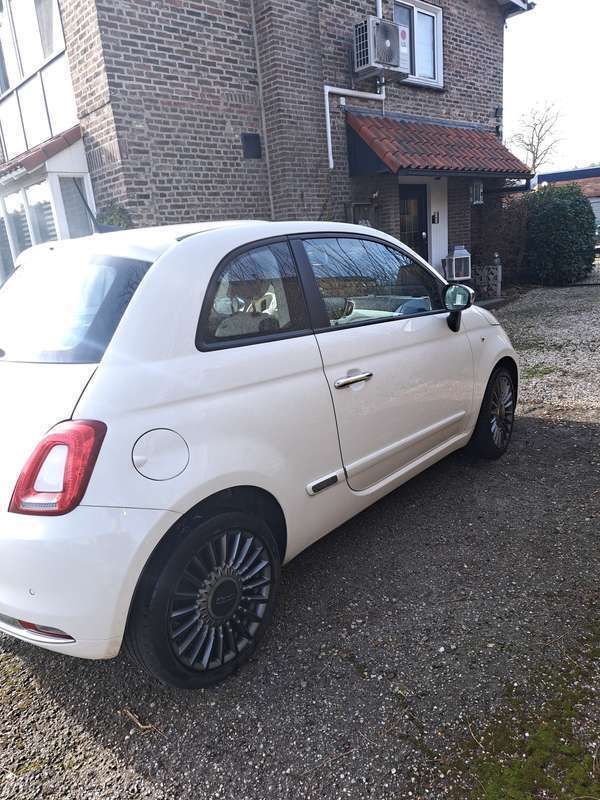 Afbeelding 4/4