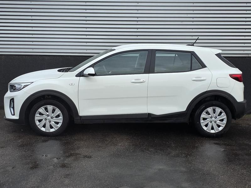 Occasion Kia Stonic Comfort 101 PK (74 kW) 2021 (ud) clear white s SUV