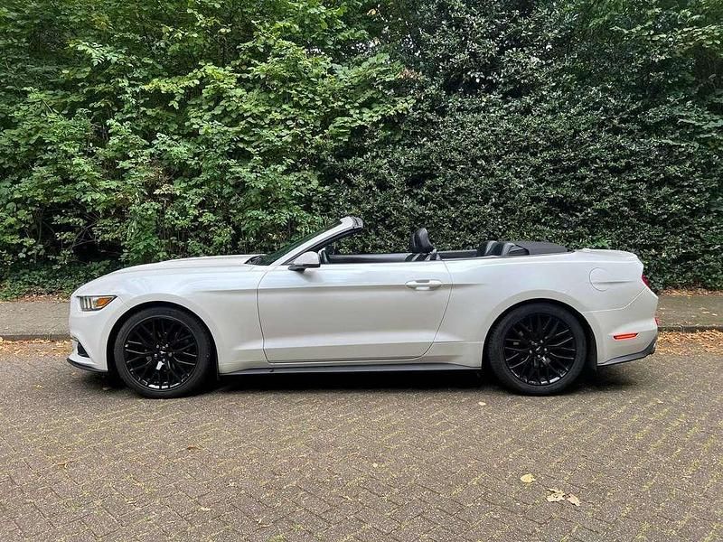 Occasion Ford Mustang GT Performance Edition 310 PK (228 kW) 2018 Wit Cabriolet