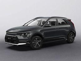 Nieuw Kia e-Niro 102 kW (139 PK) 2025 Zwart metallic SUV
