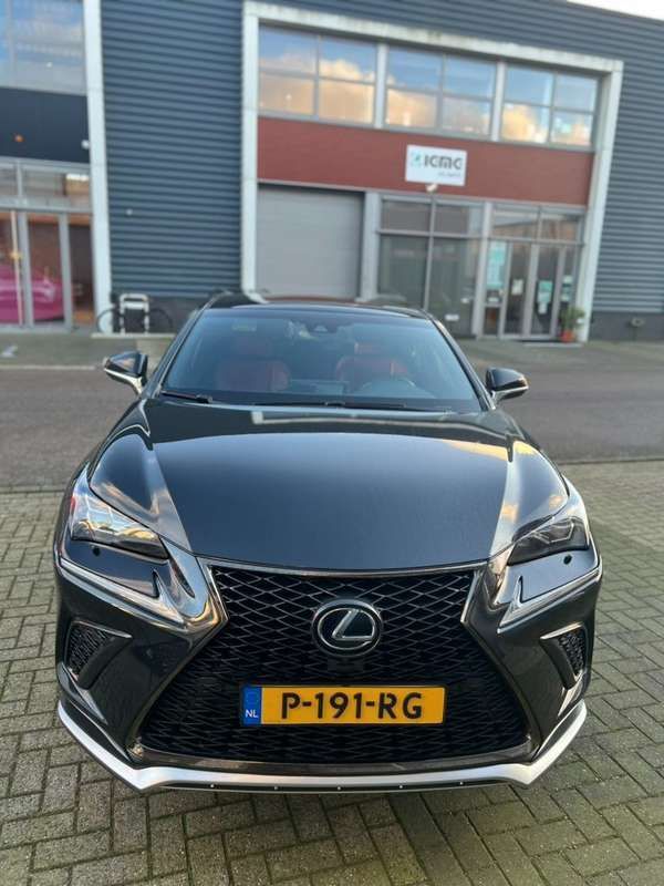 Afbeelding 3