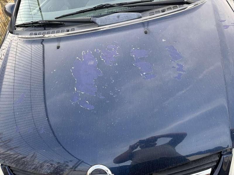 Occasion Nissan Almera Tino Tekna 116 PK (85 kW) 2004 MPV