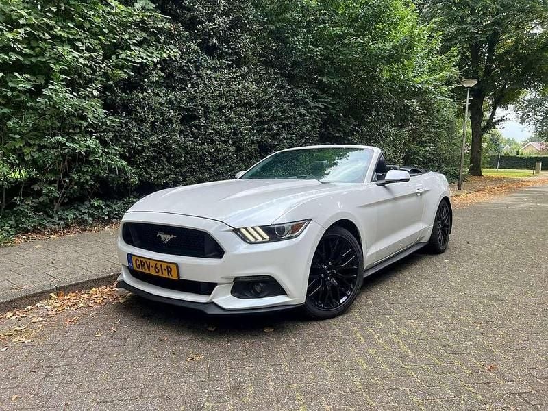 Occasion Ford Mustang GT Performance Edition 310 PK (228 kW) 2018 Wit Cabriolet