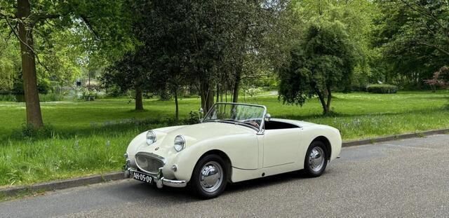 Wit Gebruikt 1959 Austin Healey Frogeye | € 24.750 - Afbeelding 1/4