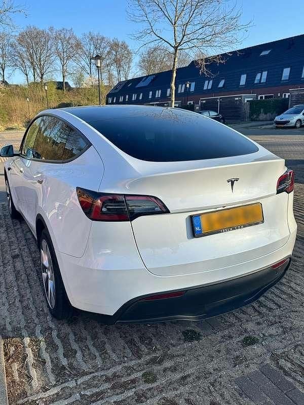 Occasion Tesla Model Y RWD 220 kW (300 PK) 2023 Wit SUV