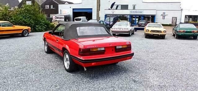 Occasion Ford Mustang 152 PK (111 kW) 1983 Rood