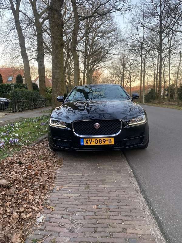 Afbeelding 4/4