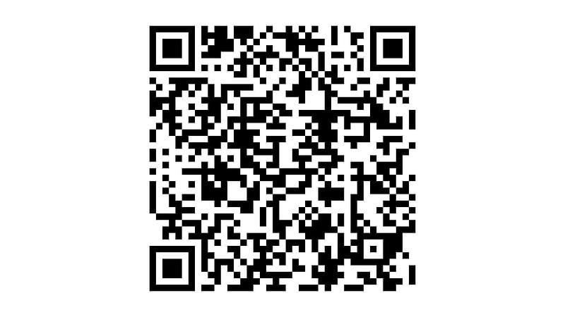 Occasion Ford Tourneo Titanium X 233 PK (171 kW) 2024 Zwart Van