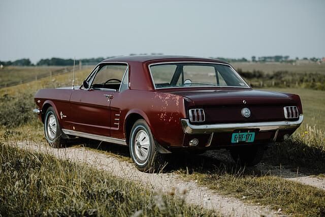 Occasion Ford Mustang 200 PK (147 kW) 1966 Bruin Coupé