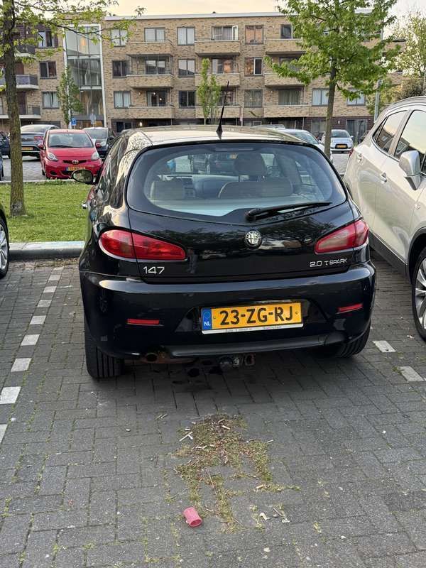 Afbeelding 3