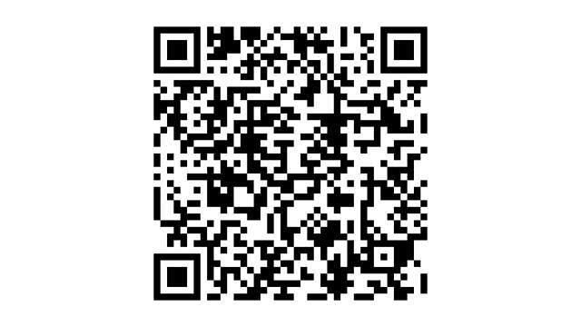 Occasion Ford Tourneo Titanium X 232 PK (170 kW) 2024 Zwart