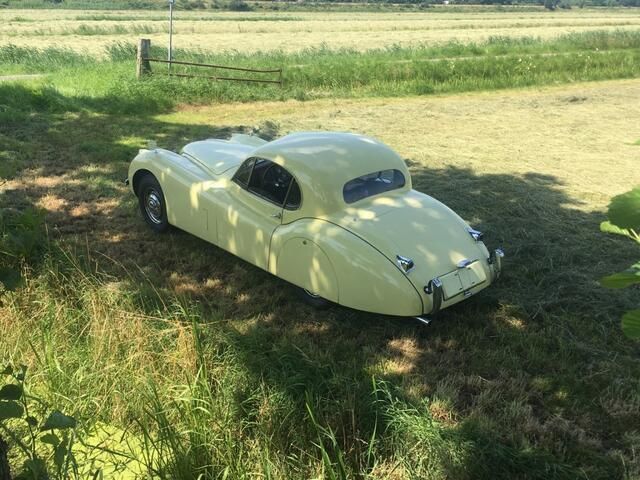 Occasion Jaguar XK 1952 Geel Coupé