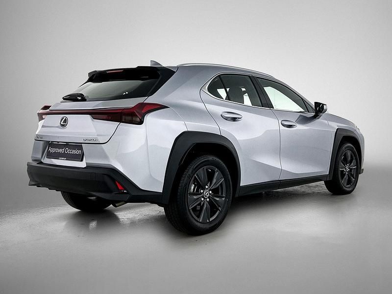 Occasion Lexus UX 184 PK (135 kW) 2024 Grijs SUV