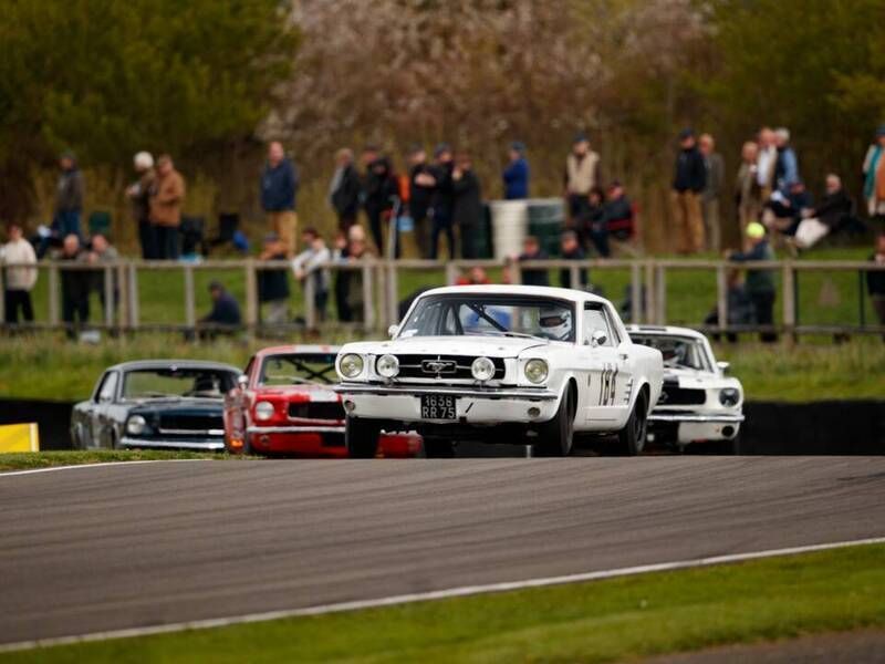 Occasion Ford Mustang 430 PK (316 kW) 1965 Wit Coupé