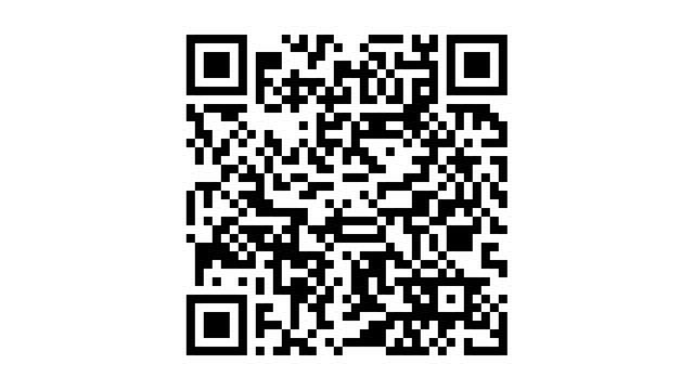 Occasion Peugeot Partner Outdoor 120 PK (88 kW) 2011 Grijs MPV