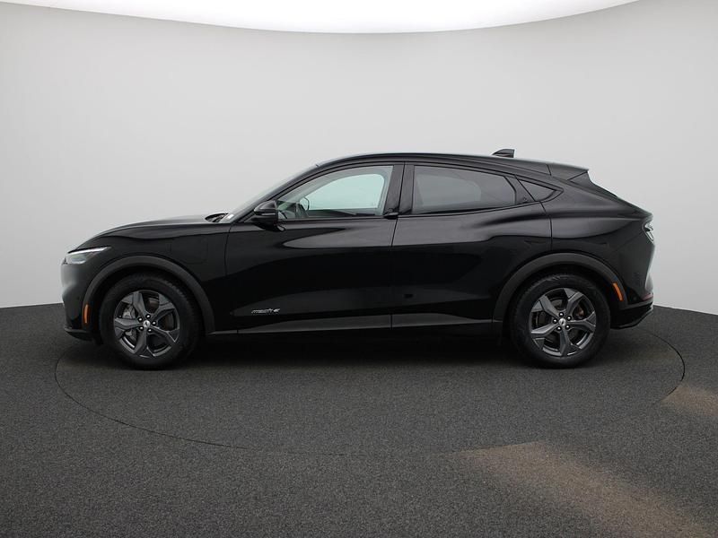 Occasion Ford Mustang 270 PK (198 kW) 2021 Zwart SUV