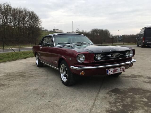 Occasion Ford Mustang 228 PK (167 kW) 1966 Rood
