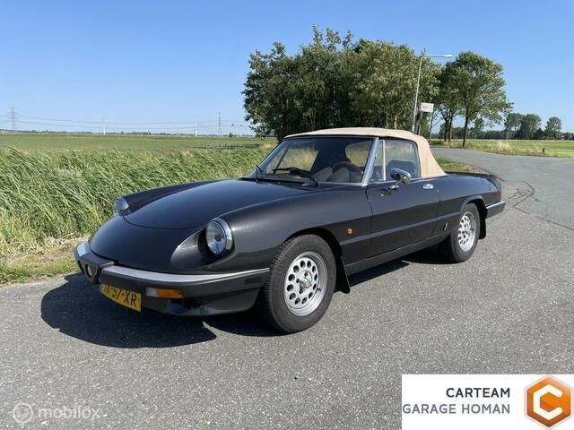 Grijs Gebruikt 1984 Alfa Romeo Spider Cabriolet | € 14.950 - Afbeelding 1/4