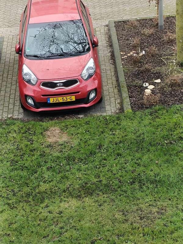 Rood Occasion 2014 Kia Picanto Hatchback | € 6.995 (Eerlijke prijs) - Afbeelding 1/4