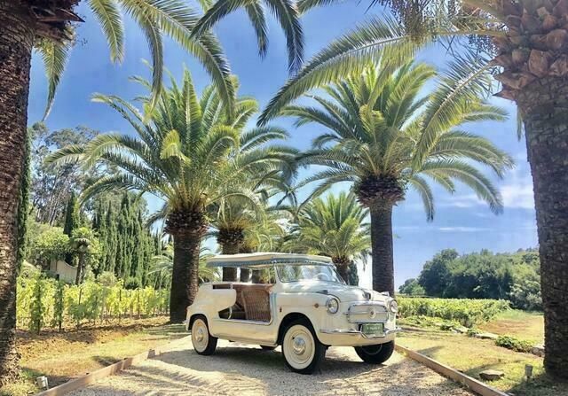 Beige Gebruikt 1959 Fiat 600 | € 165.000 - Afbeelding 1/1