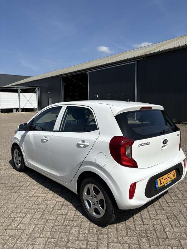 Wit Gebruikt 2019 Kia Picanto Edition 7 Hatchback | € 7.450 (Goede deal) - Afbeelding 1/4