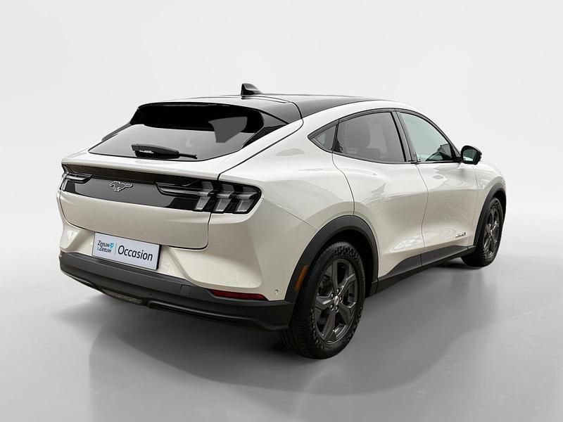 Occasion Ford Mustang 294 PK (216 kW) 2023 Wit SUV