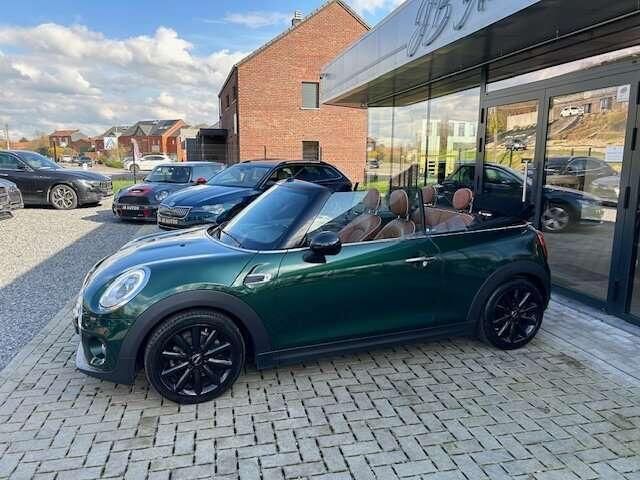 Occasion Mini Cooper Cabriolet 136 PK (100 kW) 2017 Groen Cabriolet
