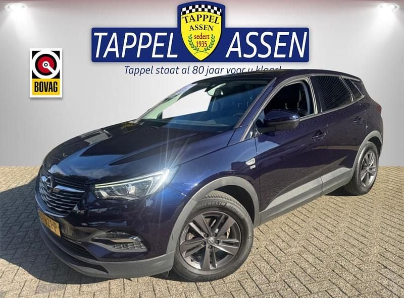 Occasion Opel Grandland X Comfort 131 PK (96 kW) 2019 Blauw, metallic lak SUV