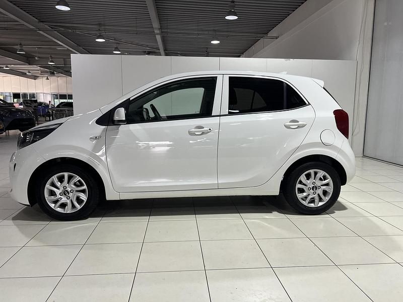 Occasion Kia Picanto 67 PK (49 kW) 2020 Wit Hatchback