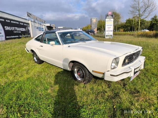 Occasion Ford Mustang 1977 Wit
