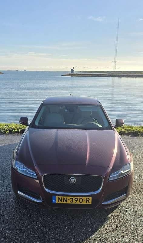 Rood Gebruikt 2016 Jaguar XF Portfolio Sedan | € 16.550 - Afbeelding 1/4