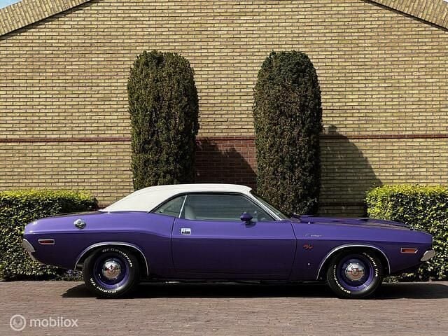 Occasion Dodge Challenger 374 PK (275 kW) 1970 Paars Coupé