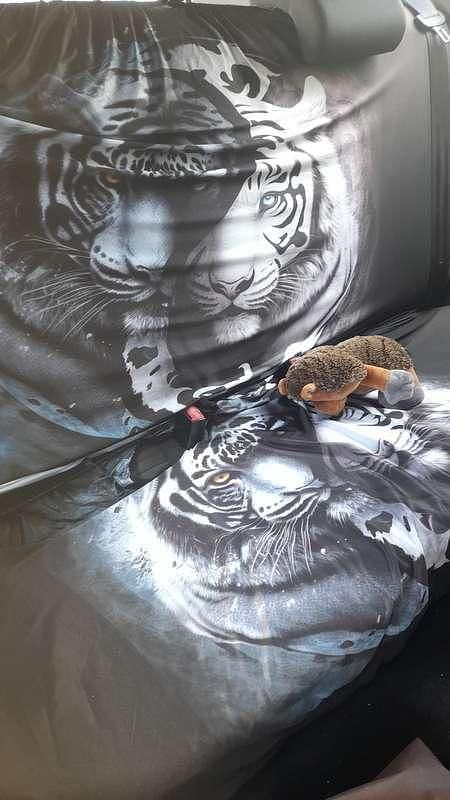 Zilver Gebruikt 2010 VW Polo Comfortline Hatchback | € 4.500 (Super prijs) - Afbeelding 1/4