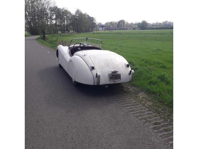 Occasion Jaguar XK 1950 Wit Cabriolet