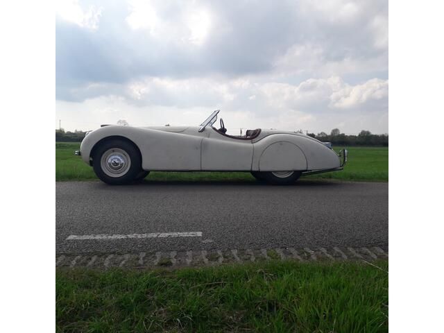 Afbeelding 3/4