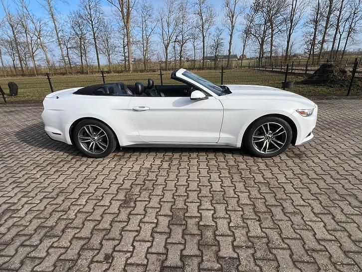 Occasion Ford Mustang 330 PK (242 kW) 2015 Cabriolet