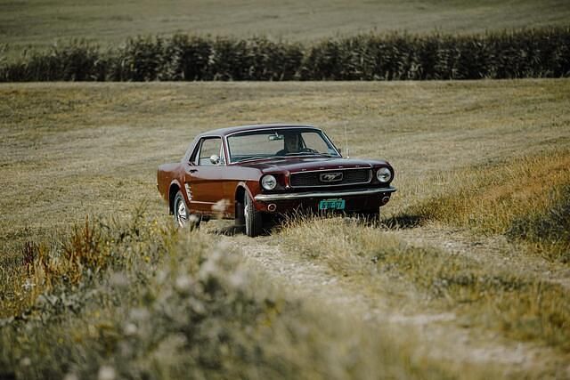 Occasion Ford Mustang 200 PK (147 kW) 1966 Bruin Coupé