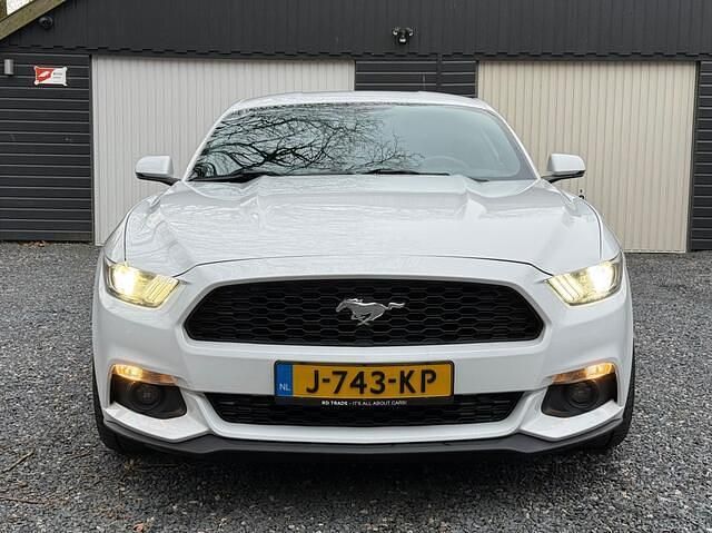 Occasion Ford Mustang Performance Edition 315 PK (231 kW) 2015 Wit Coupé